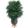 Bamboo Palm With Gray Planter Stand, 3 Ft.-Kirkland's Home Online