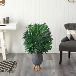 Bamboo Palm With Gray Planter Stand, 3 Ft.-Kirkland's Home Online