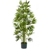 Bamboo Shoot Tree In Nursery Planter-Kirkland's Home Discount