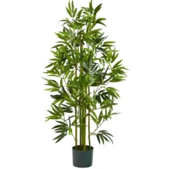 Bamboo Shoot Tree In Nursery Planter-Kirkland's Home Discount