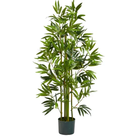 Bamboo Shoot Tree In Nursery Planter-Kirkland's Home Discount