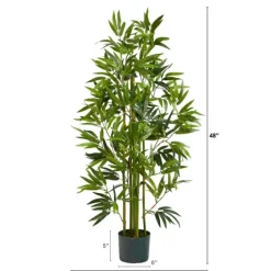 Bamboo Shoot Tree In Nursery Planter-Kirkland's Home Discount