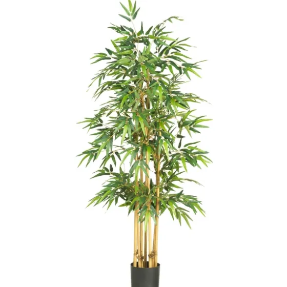 Bamboo Silk Tree, 5.3 Ft.-Kirkland's Home Shop