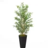 Bamboo Tree In Round Black Planter-Kirkland's Home Sale