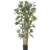 Bambusa Bamboo Silk Tree, 4 Ft.-Kirkland's Home Cheap