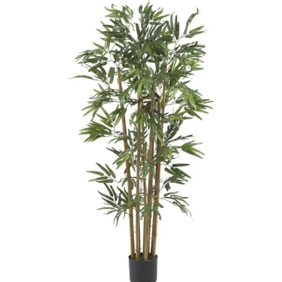 Bambusa Bamboo Silk Tree, 4 Ft.-Kirkland's Home Cheap
