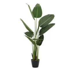 Banana Tree In Ribbed Rock Planter-Kirkland's Home Shop
