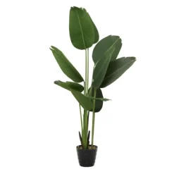 Banana Tree In Ribbed Rock Planter-Kirkland's Home Shop