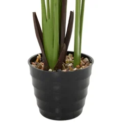 Banana Tree In Ribbed Rock Planter-Kirkland's Home Shop