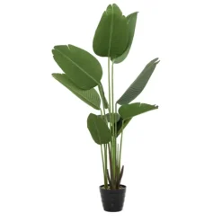 Banana Tree In Ribbed Rock Planter-Kirkland's Home Shop