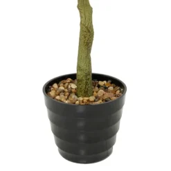 Banyan Tree In Ribbed Rock Planter-Kirkland's Home Shop