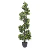Bay Leaf Spiral Potted Tree, 60 In.-Kirkland's Home Best