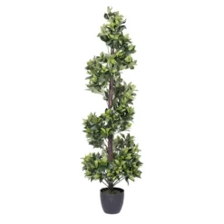Bay Leaf Spiral Potted Tree, 60 In.-Kirkland's Home Best