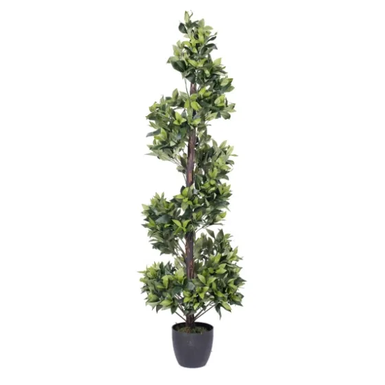 Bay Leaf Spiral Potted Tree, 60 In.-Kirkland's Home Best