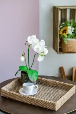 Beige Woven Cement Tray-Kirkland's Home Best Sale