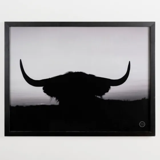 Black And White Bull Silhouette Framed Art Print-Kirkland's Home Outlet