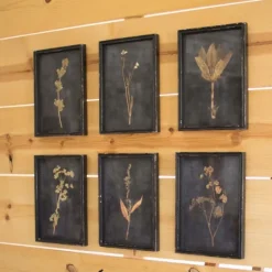 Black Botanical Framed Art Prints, Set Of 6-Kirkland's Home Best Sale