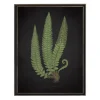 Black Fern I Framed Art Print-Kirkland's Home Shop