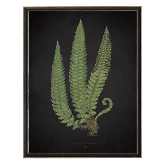 Black Fern I Framed Art Print-Kirkland's Home Shop