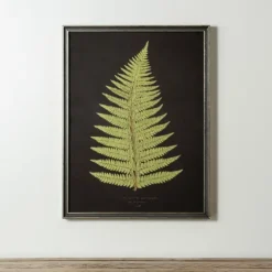 Black Fern Iv Framed Art Print-Kirkland's Home Hot