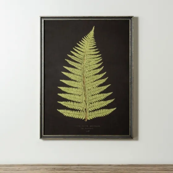 Black Fern Iv Framed Art Print-Kirkland's Home Hot