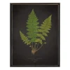 Black Fern Vi Framed Art Print-Kirkland's Home Store