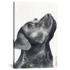 Black Labrador Giclee Canvas Art Print, 18X26-Kirkland's Home Flash Sale