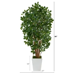 Black Olive Tree In White Planter, 5.5 Ft.-Kirkland's Home Outlet