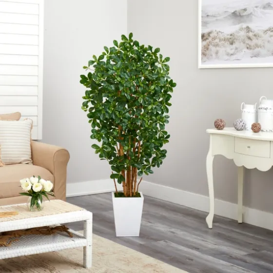 Black Olive Tree In White Planter, 5.5 Ft.-Kirkland's Home Outlet