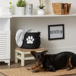 Black Paw Print Round Pet Basket-Kirkland's Home Best