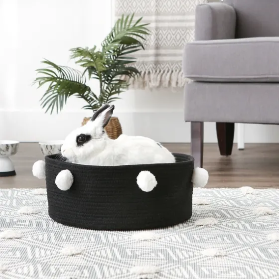Black Pet Bin Pom Pom Storage Basket-Kirkland's Home Outlet
