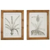 Black White Vintage Botanical Framed Art, Set Of 2-Kirkland's Home Fashion