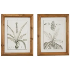 Black White Vintage Botanical Framed Art, Set Of 2-Kirkland's Home Fashion