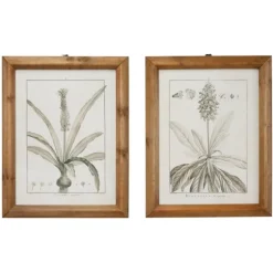 Black White Vintage Botanical Framed Art, Set Of 2-Kirkland's Home Fashion