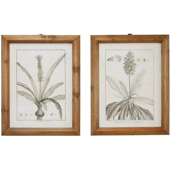 Black White Vintage Botanical Framed Art, Set Of 2-Kirkland's Home Fashion