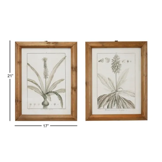 Black White Vintage Botanical Framed Art, Set Of 2-Kirkland's Home Fashion