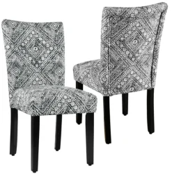 Blair Chinle Velvet Dining Chairs, Set Of 2-Kirkland's Home Online