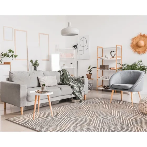 Blake Gray Zigzag Indoor/Outdoor Area Rug, 5X7-Kirkland's Home Discount