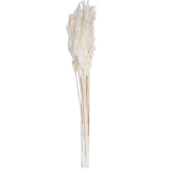 Bleached Preserved Plume Reed Bundles, Set Of 2-Kirkland's Home New
