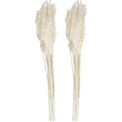 Bleached Preserved Plume Reed Bundles, Set Of 2-Kirkland's Home New