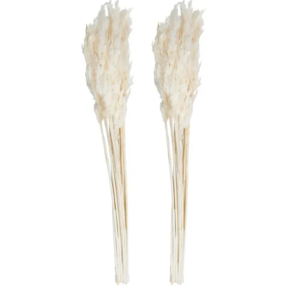 Bleached Preserved Plume Reed Bundles, Set Of 2-Kirkland's Home New