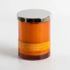 Blood Currant Single Wick Jar Candle-Kirkland's Home Store