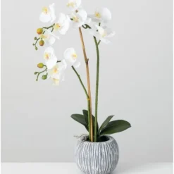 Blooming White Orchid Potted Floral Arrangement-Kirkland's Home Hot