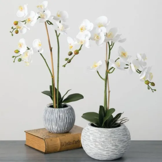 Blooming White Orchid Potted Floral Arrangement-Kirkland's Home Hot