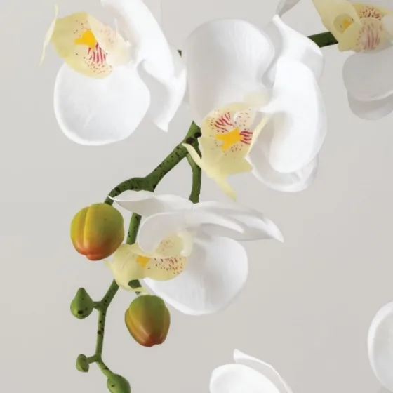 Blooming White Orchid Potted Floral Arrangement-Kirkland's Home Hot