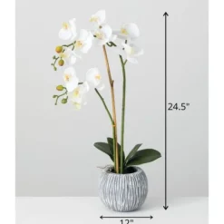 Blooming White Orchid Potted Floral Arrangement-Kirkland's Home Hot