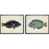 Blue Fish Framed Art Prints, Set Of 2-Kirkland's Home Store