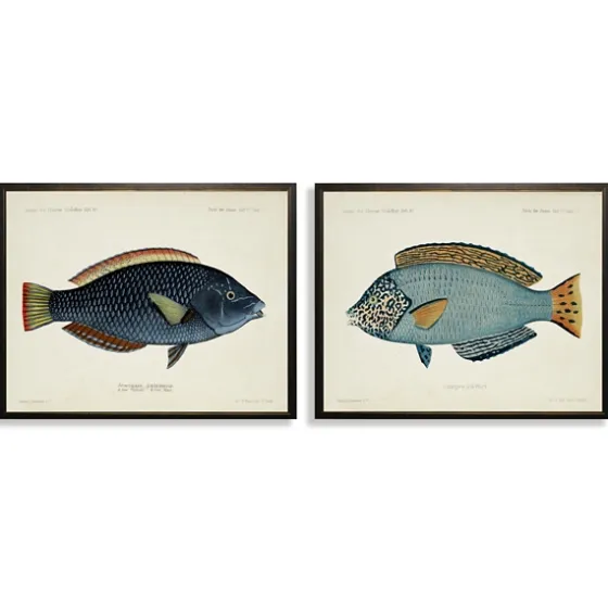 Blue Fish Framed Art Prints, Set Of 2-Kirkland's Home Store