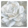 Bombshell Bloom Ii Canvas Art Print, 20X20 In.-Kirkland's Home Store