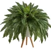 Boston Fern Arrangement In White Planter-Kirkland's Home Sale